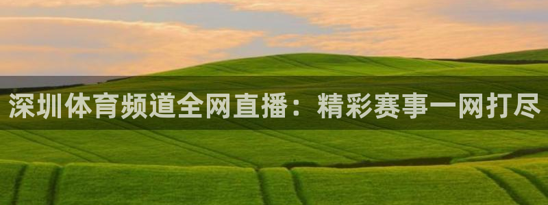 搜球吧nba在线直播：深圳体育频道全网直播：精彩赛事一网打尽