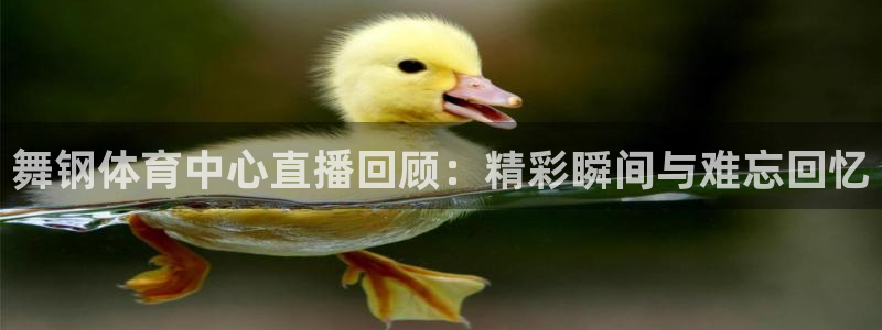 搜球8直播nba直播：舞钢体育中心直播回顾：精彩瞬间与难忘回忆