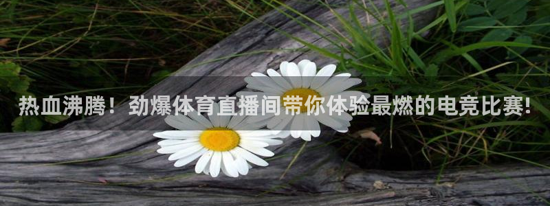 搜球体育下载：热血沸腾！劲爆体育直播间带你体验最燃的电竞比赛!