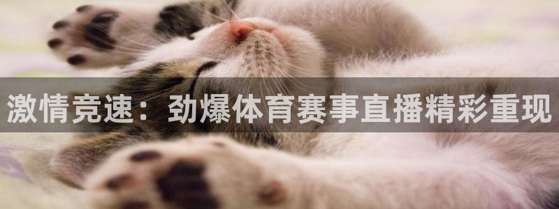 搜球吧 直播：激情竞速：劲爆体育赛事直播精彩重现