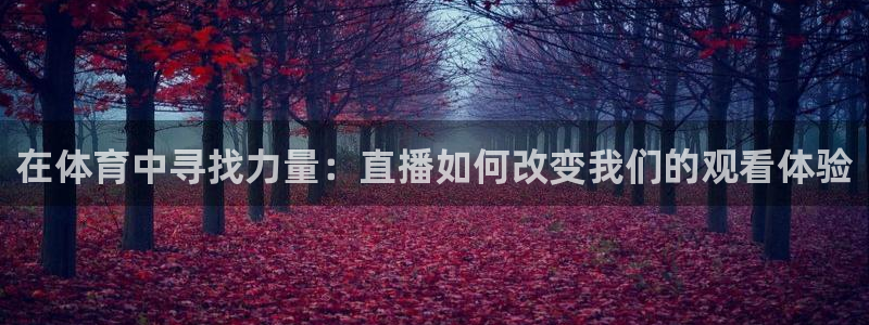 搜球吧8直播：在体育中寻找力量：直播如何改变我们的观看体验