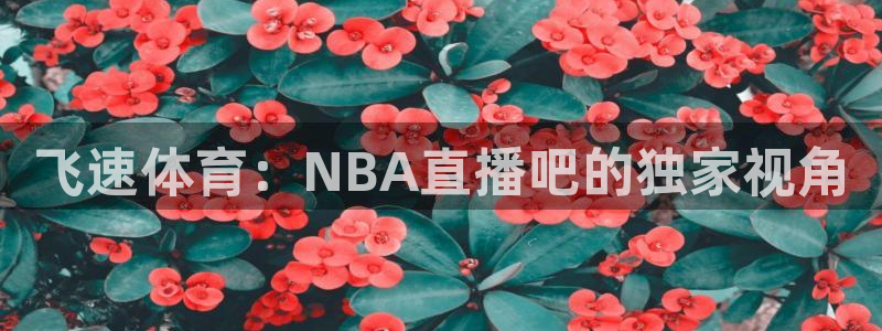 搜球体育直播app：飞速体育：NBA直播吧的独家视角