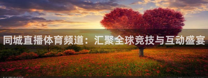 搜球吧nba视频直播：同城直播体育频道：汇聚全球竞技与互动盛宴