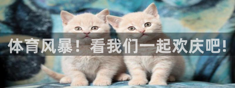 搜球8直播：体育风暴！看我们一起欢庆吧!