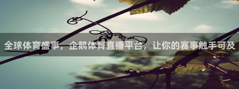 搜球直播体育：全球体育盛事，企鹅体育直播平台，让你的赛事触手可及