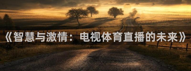 搜球吧零点吧nba直播：《智慧与激情：电视体育直播的未来》