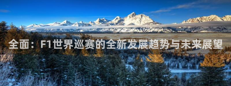 搜球吧在线直播免费观看：全面：F1世界巡赛的全新发展趋势与未来展望