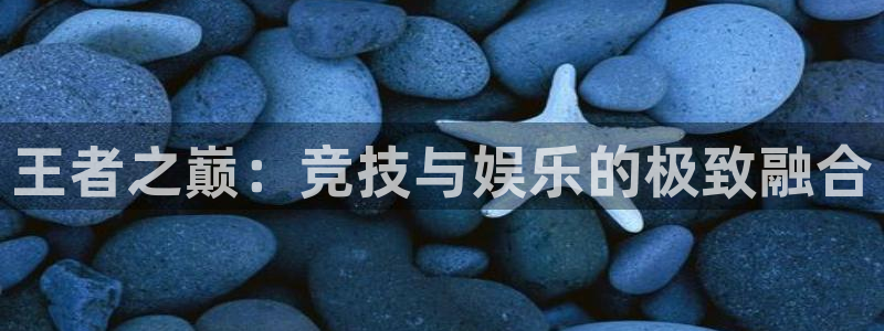 搜球吧在线直播nba：王者之巅：竞技与娱乐的极致融合