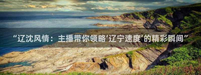 搜球直播：“辽沈风情：主播带你领略‘辽宁速度’的精彩瞬间”